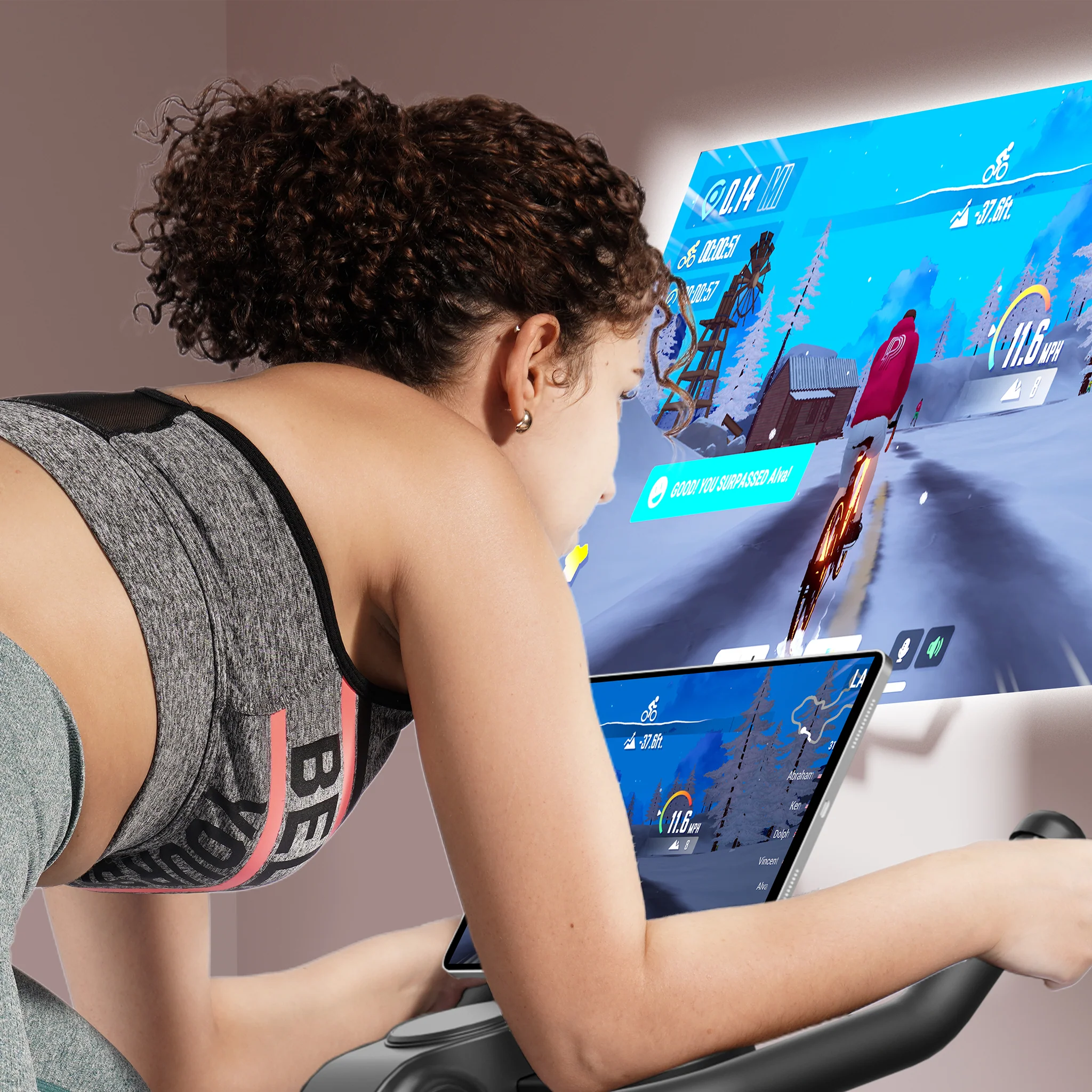 DeerRun S500 Indoor Smart Stationary Cycling Bike with PitPat App, 1-32 Magnetic Resistance-Pink