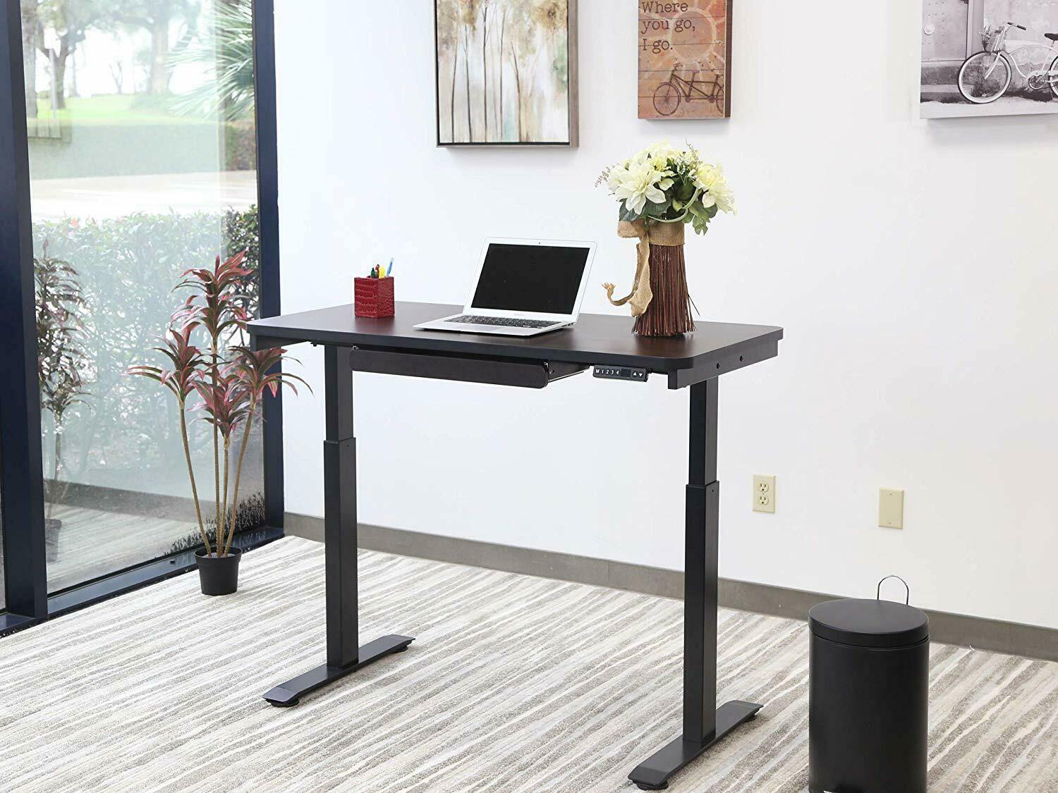 Electric Standing Desk w/ Adjustable Height Home Office Desk