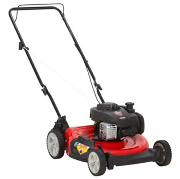 21  125cc Gas Push Lawn Mower