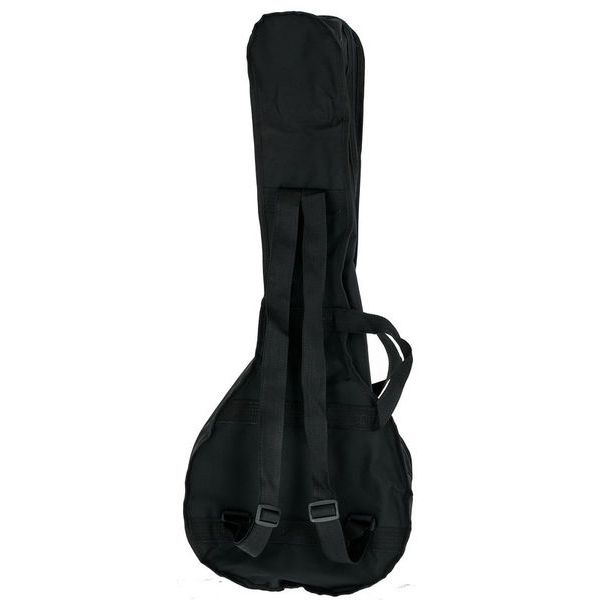 Gold Tone AC-4 Openback Tenor Banjo