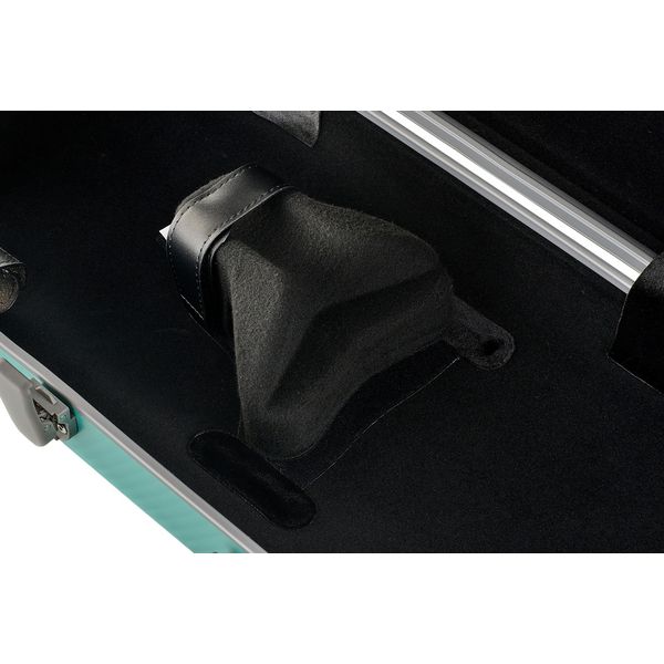 Gewa Pure Vn Case OC Fun G/G