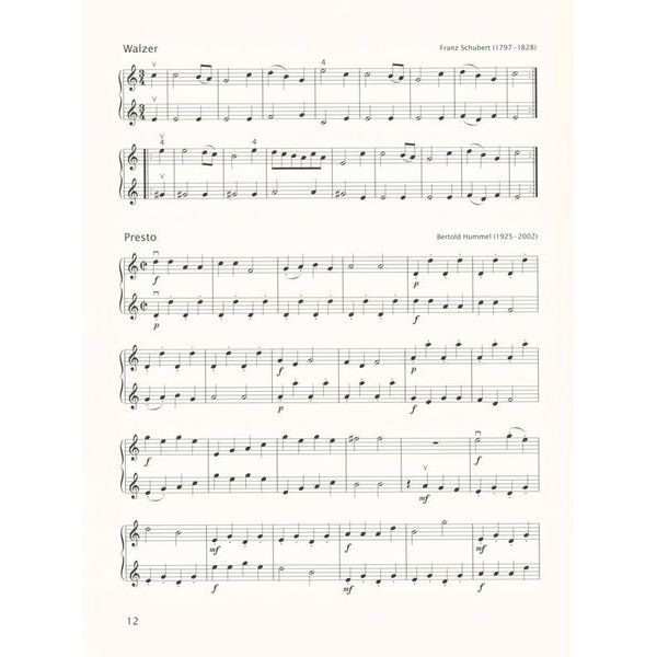 Brenreiter Samannshaus Anfang Geige 3