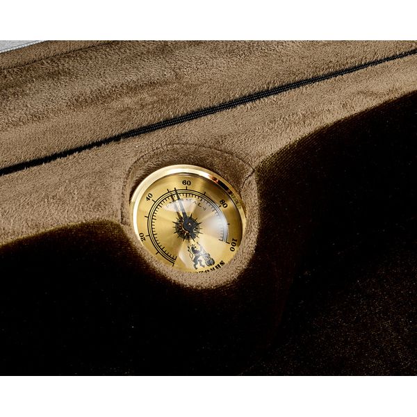 Artonus Elipe Violin Case 4/4 O2