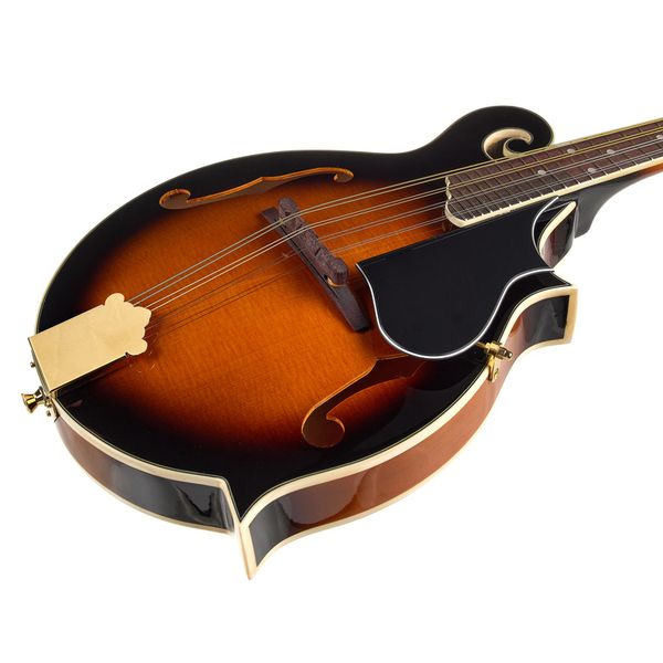 Harley Benton HBMA-100 VS w/Bag