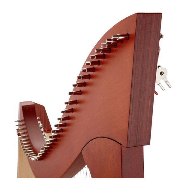 Salvi Titan Cherry Sipario Biocarbon