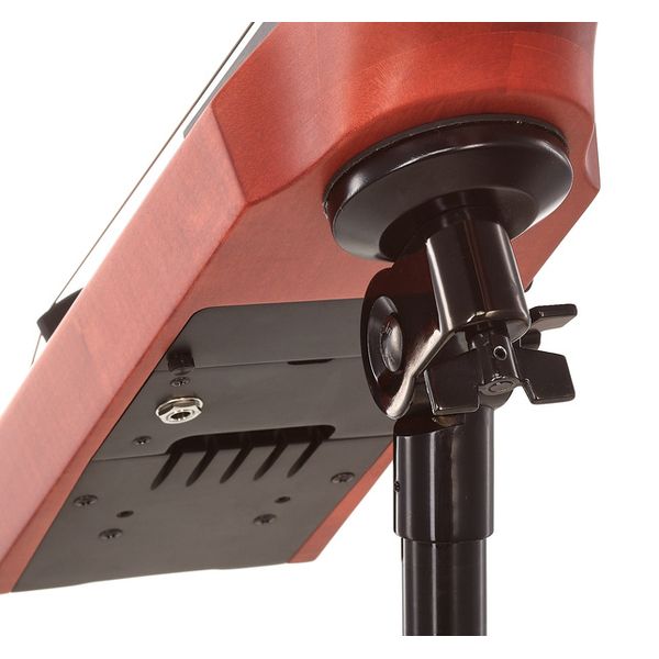 NS Design CR5 Upright Bass Amber