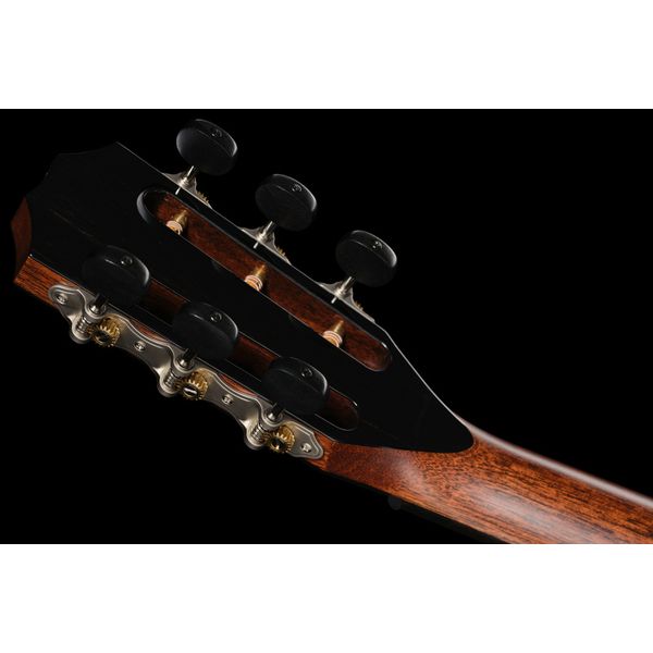 Taylor PS12ce 12 Fret Honduran RW