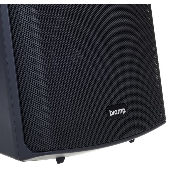 Biamp Systems SDQ5P Black