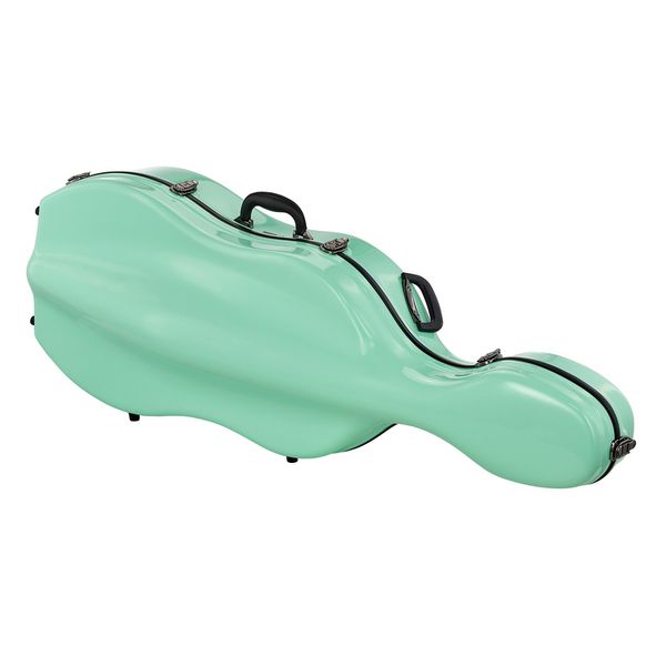 JW-eastman CE133 4/4 Cello Case PPG