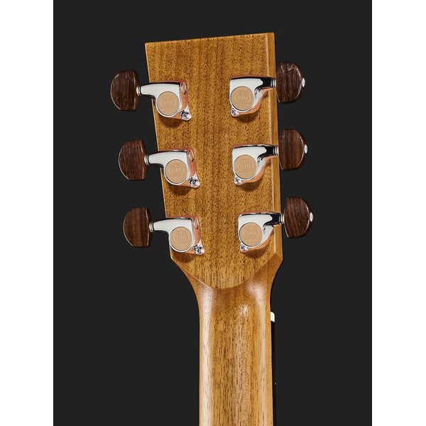 Lakewood M-31 CP 2024