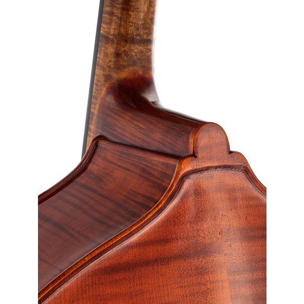 Scala Vilagio Double Bass Rogeri 5-Str. IB