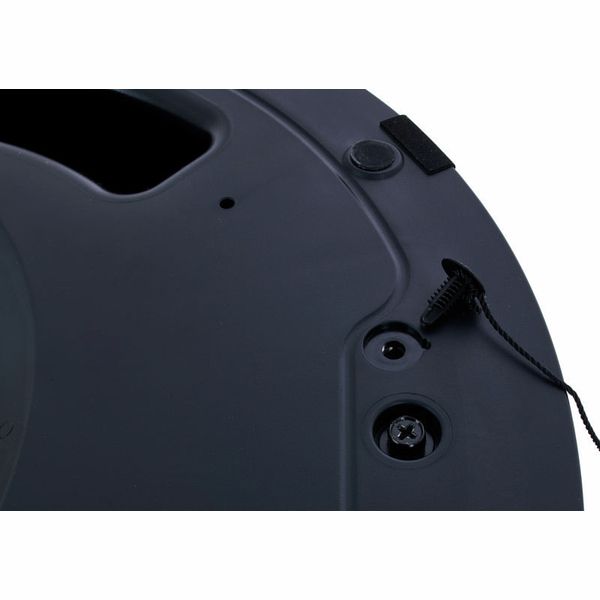 Bose Professional DesignMax DM8C black