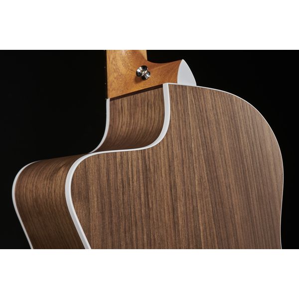 Taylor 214ce-N Spruce/Walnut