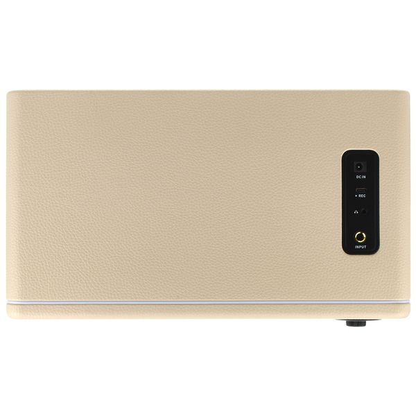 Mooer Hornet 30i Modeling Amp White