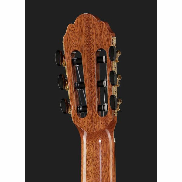 Gewa Pro Arte GC210A