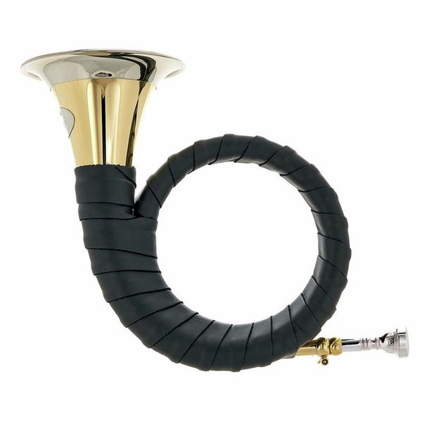 Dotzauer Fürst Pless in Bb 18815 L Set