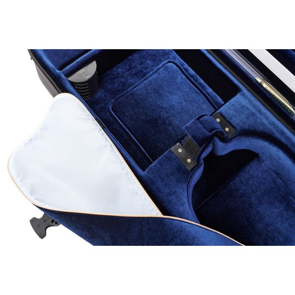 Artonus Geeston Violin CG