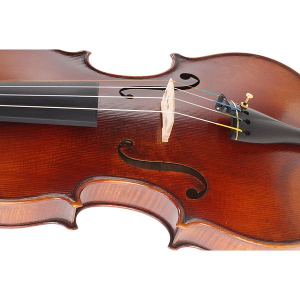 Karl H&ouml;fner H225-CB-V Carlo Bergonzi