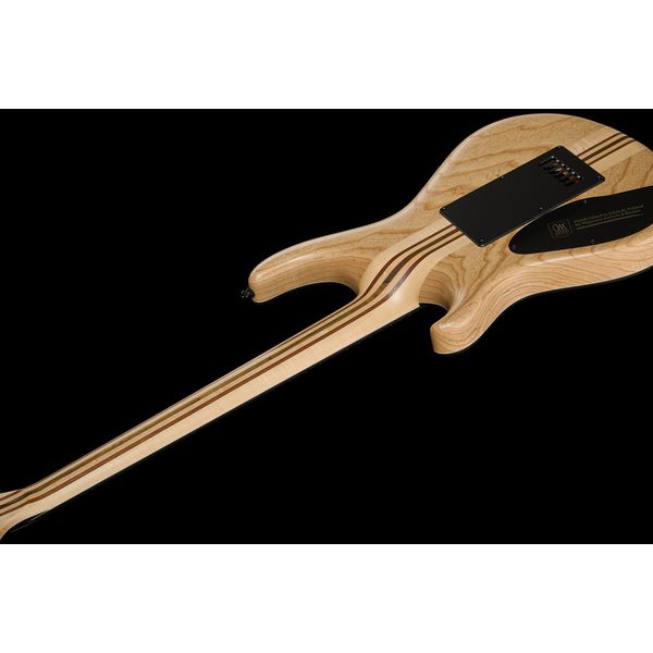 Mayones Guitars Regius 4EVER 6 B27