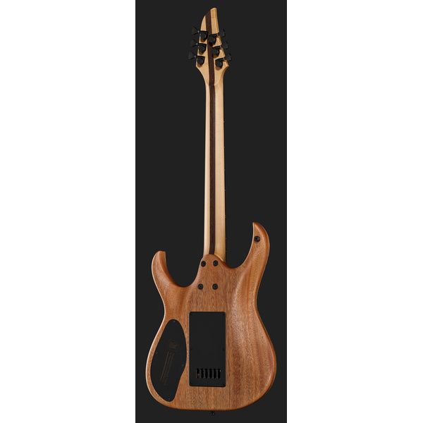 Mayones Guitars Duvell Elite 4Ever 6 PB