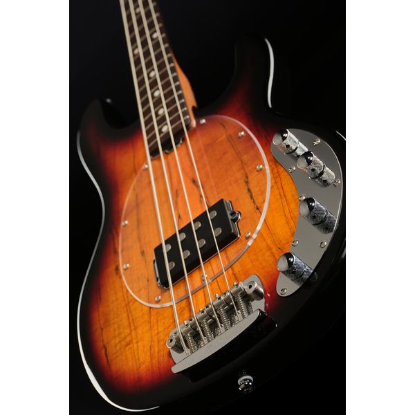 Sterling by Music Man StingRay RAY34 Spalted 3TSB