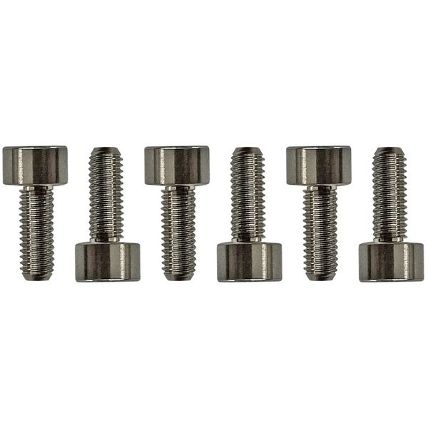 Floyd Rose Saddle Mounting Screws Tit