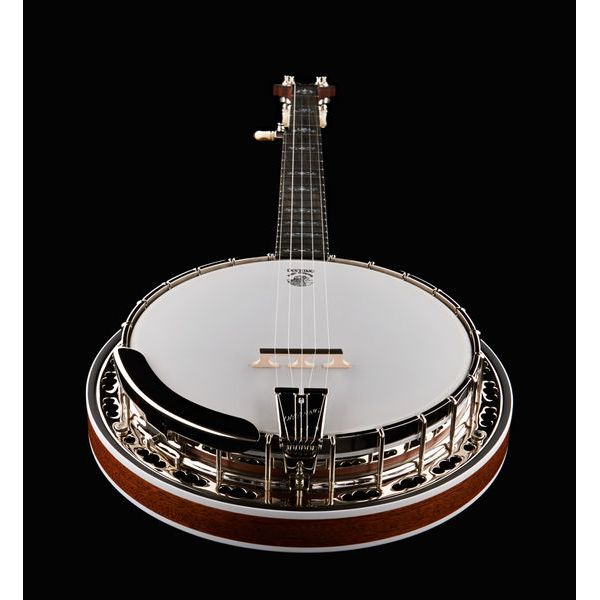 Deering Sierra 5-String