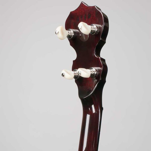 Deering Eagle II 5-String A/E