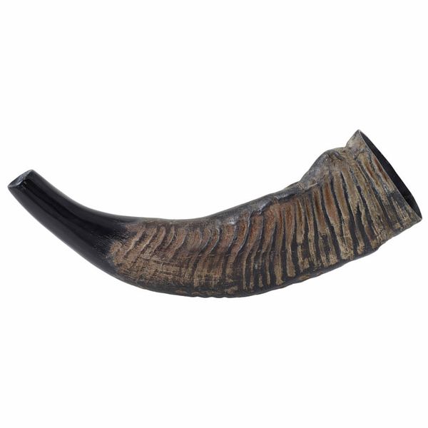 Thomann Water Buffalo Horn
