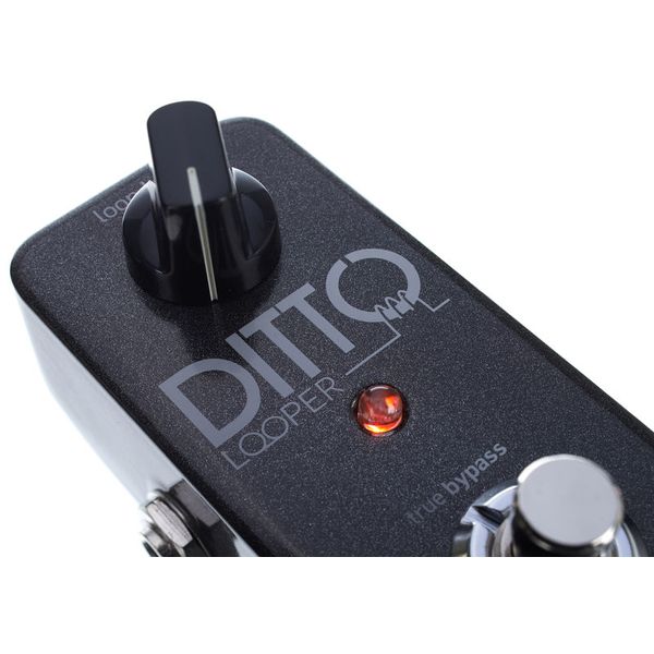 tc electronic Ditto Looper
