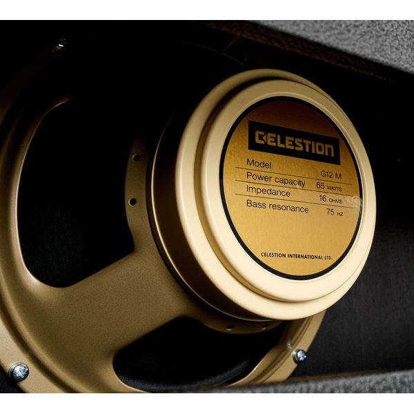 Victory Amplifiers Deputy 112 Cabinet