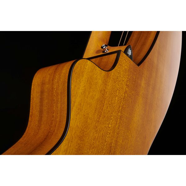 Timberline Guitars T20HGpc Harp Guitar