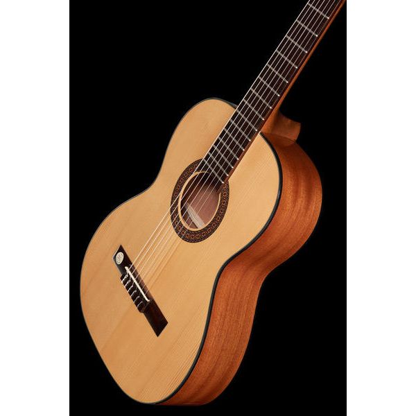 Gewa Pro Arte GC100A