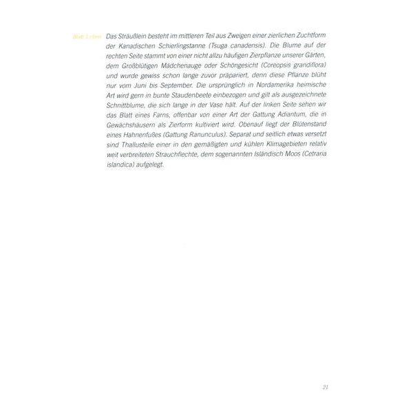 Breitkopf & Hrtel Blumentagebuch Clara Schumann