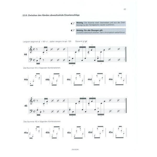 Zimmermann Verlag Hauptsache Mallets