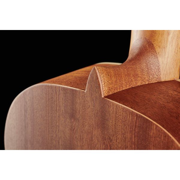 Alhambra Z Nature incl.Gig Bag