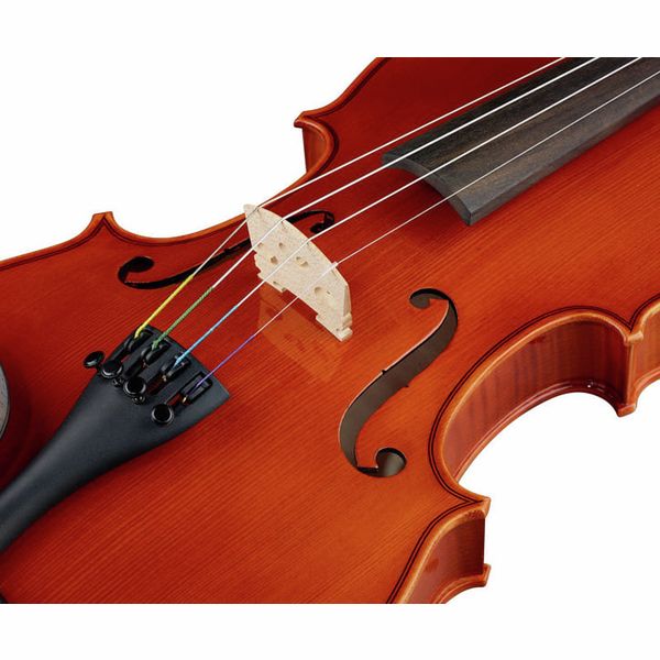 Karl H&ouml;fner Concert 4/4 Violin Outfit