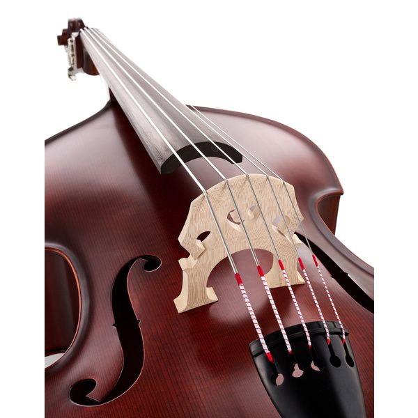 Thomann 33AS/5str. 3/4 Europe Bass