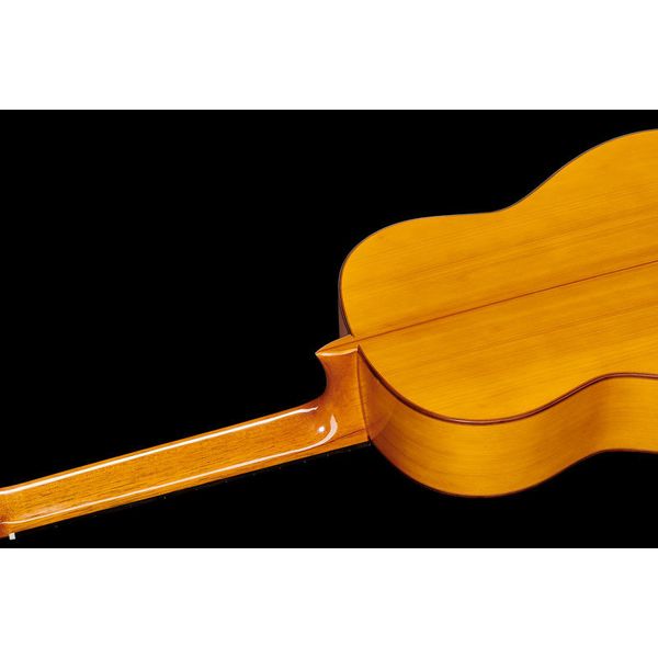 Juan Hernandez Luthier Flamenca SP