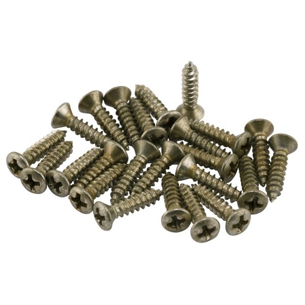 Fender Roadworn Pkgrd Plate Screws