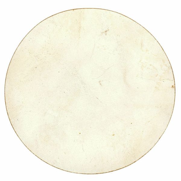 Meinl TS-F-11 8,5" Flat True Skin H.