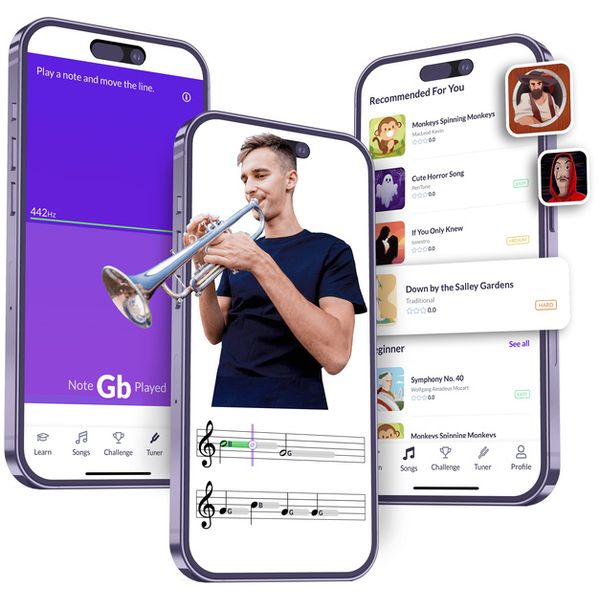 tonestro Online Music Lessons 12 Months