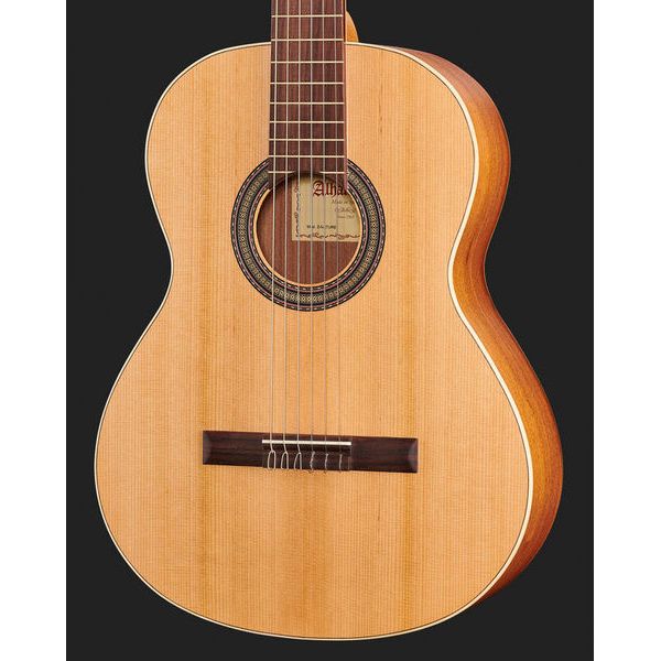 Alhambra Z Nature incl.Gig Bag