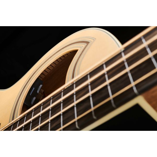 Warwick RB Alien Standard 4 FL NT