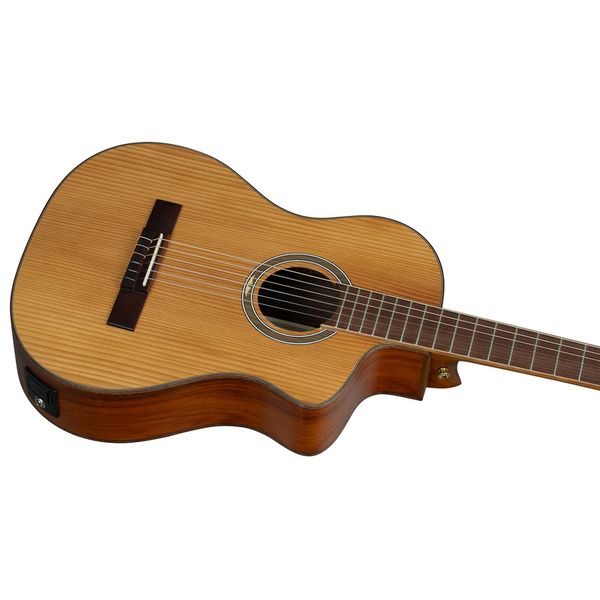 Ortega RCE23RO Thermo Series