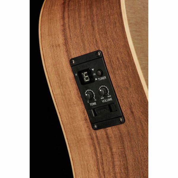 Taylor Big Baby Taylor BBTe