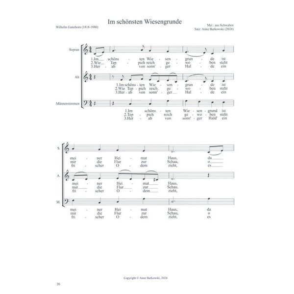 Sngerkreis Fürth Wir Singen Gemischter Chor