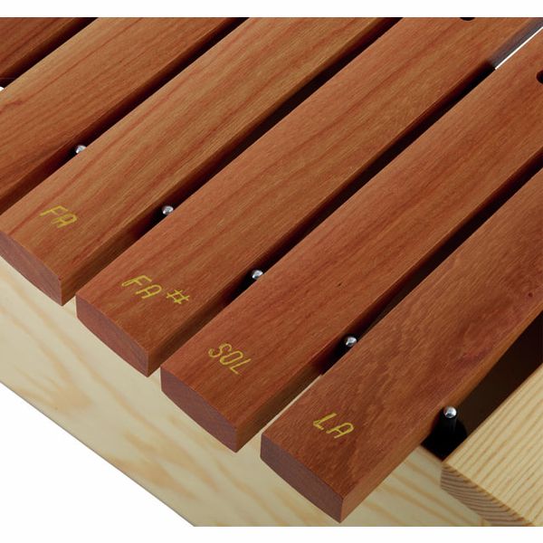Studio 49 AX1600 Alto Xylophone DoReMi
