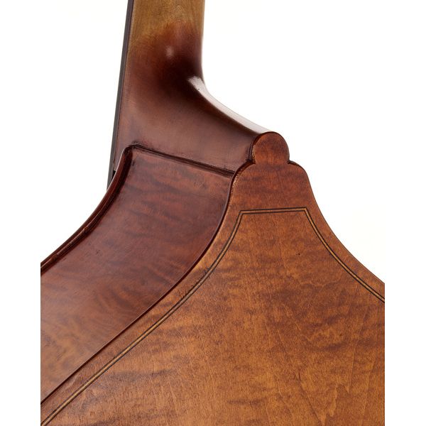 Gewa Premium Line Solid Top DB 3/4