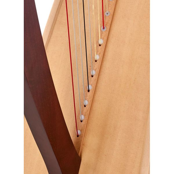 Lyon & Healy Ogden Lever Harp 34 Str. MA